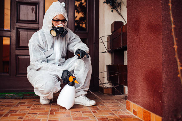 Reliable Rodent Control contractor in North Redington Beach, FL by Nex Pest Control