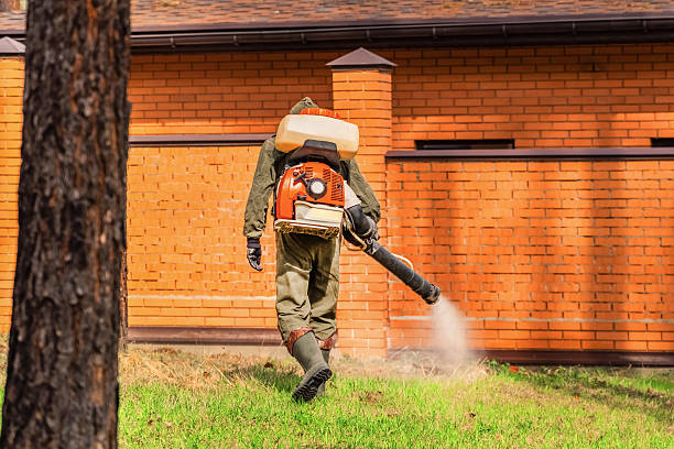 Trusted Fumigation Services service in North Redington Beach, FL - Nex Pest Control